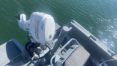 Concession Nautique Services la Rochelle - Vente et entretien bateau - Bateau professionnel 3D Tender PILOT 420
