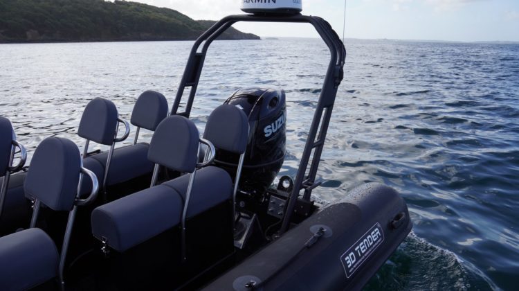 nautique services - semi rigide 6m 3d tender