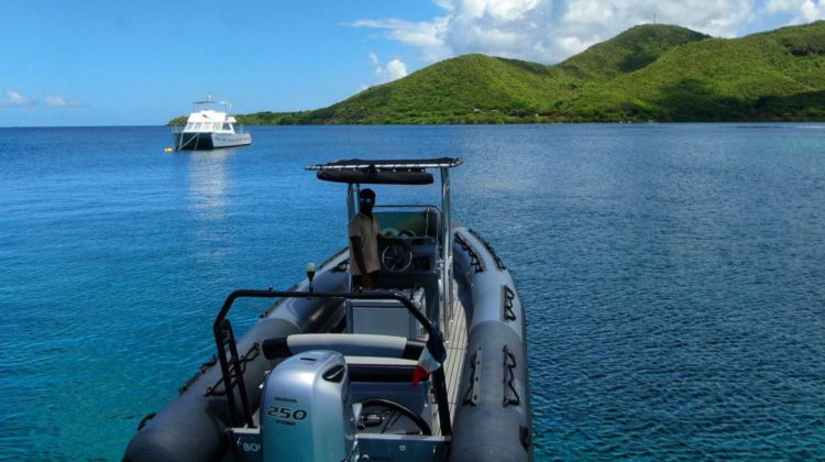 nautique services - semi rigide 7m 3d tender