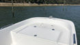 nautique services - seaweed 535