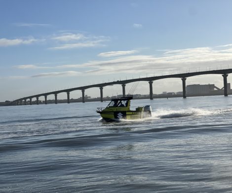 IMG_7531 (3)