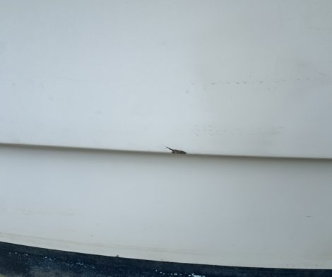 défaut-antioche-550-occasion-nautqiue-services-larochelle