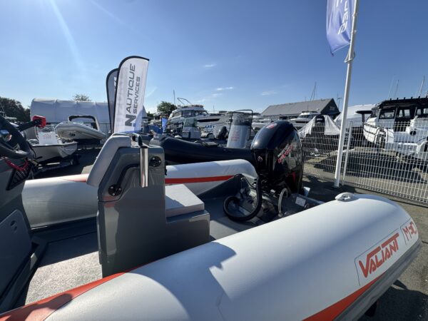 Valiant 580 sport - Mercury 115cv Pro XS - Remorque routière – Image 3