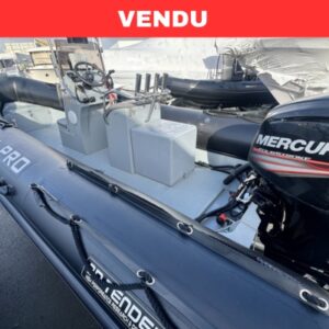 3d tender Xpro 589 - Mercury 100cv