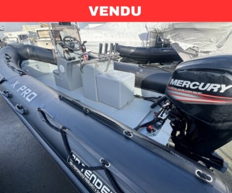 3d tender Xpro 589 - Mercury 100cv