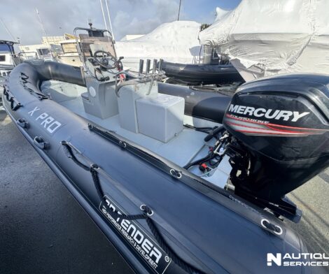 3d tender Xpro 589 - Mercury 100cv