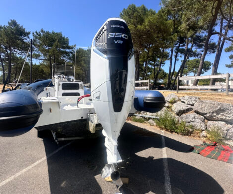 Honda BF350A UDU Blanc - 2025 - 104h entretien à jour