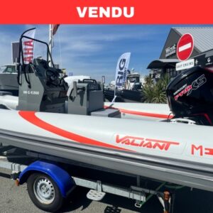 Valiant 580 sport - Mercury 115cv Pro XS - Remorque routière