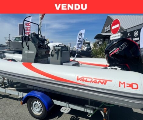 Valiant 580 sport - Mercury 115cv Pro XS - Remorque routière