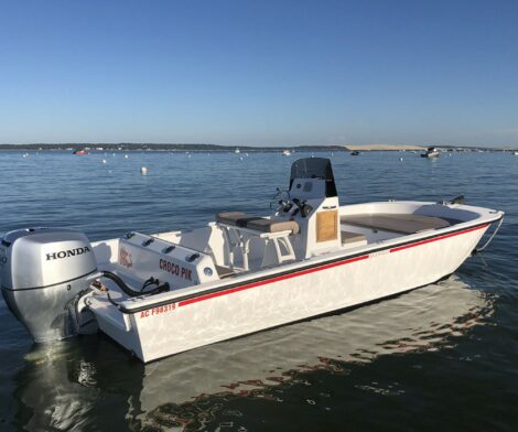 Seaweed 675 - Suzuki 150cv