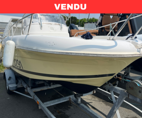 Jeanneau Cap Camarat 5.15 - Suzuki DF50 - Remorque routière