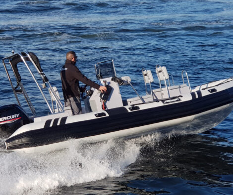Tarpon AD60 PVC - Suzuki 115cv