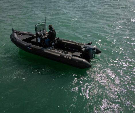 Tarpon DV60 PVC - Suzuki 115cv